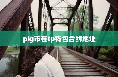 pig币在tp钱包合约地址