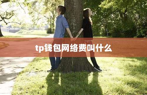 tp钱包网络费叫什么