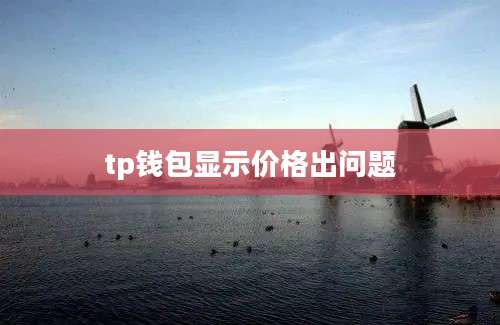 tp钱包显示价格出问题