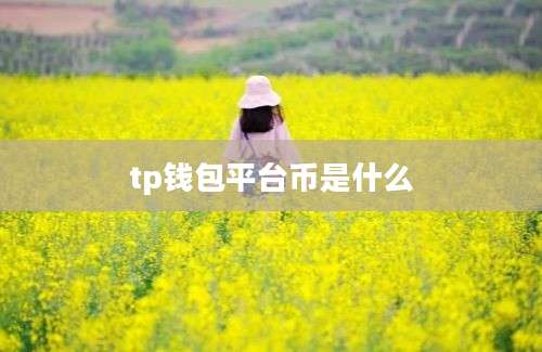 tp钱包平台币是什么
