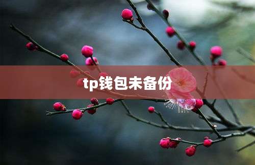 tp钱包未备份