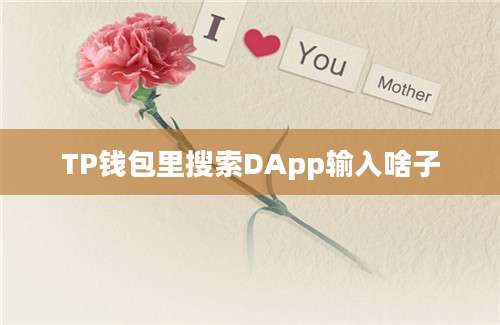 TP钱包里搜索DApp输入啥子