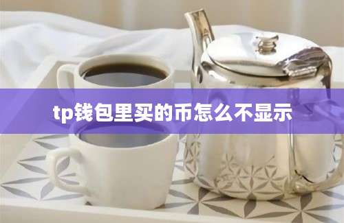 tp钱包里买的币怎么不显示