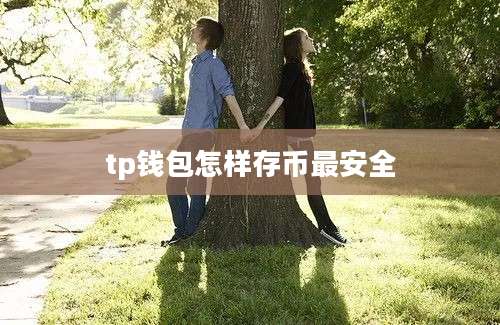 tp钱包怎样存币最安全