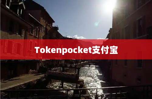 Tokenpocket支付宝