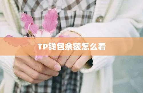 TP钱包余额怎么看