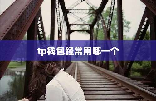 tp钱包经常用哪一个