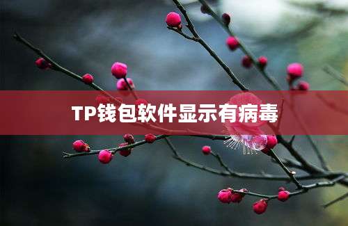 TP钱包软件显示有病毒