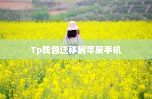 Tp钱包迁移到苹果手机