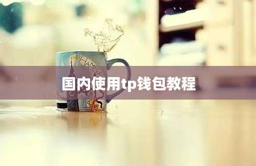 国内使用tp钱包教程