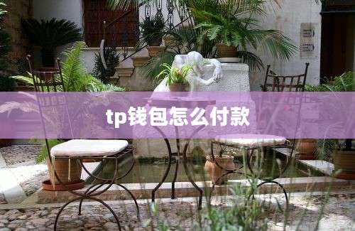 tp钱包怎么付款