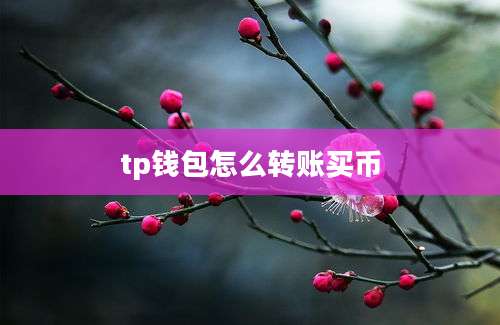 tp钱包怎么转账买币