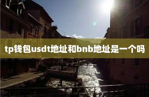 tp钱包usdt地址和bnb地址是一个吗