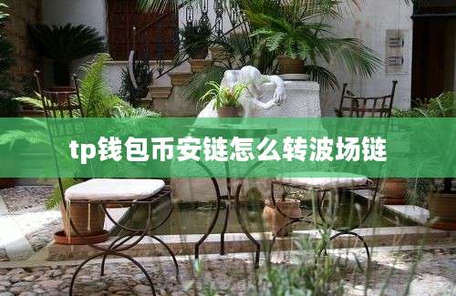 tp钱包币安链怎么转波场链