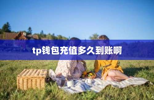 tp钱包充值多久到账啊