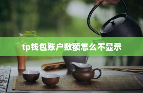 tp钱包账户数额怎么不显示