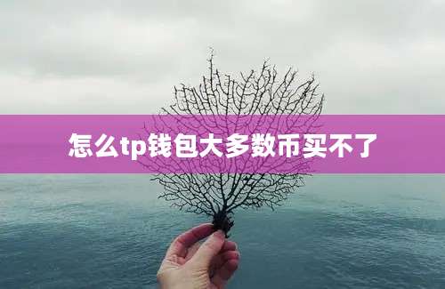 怎么tp钱包大多数币买不了