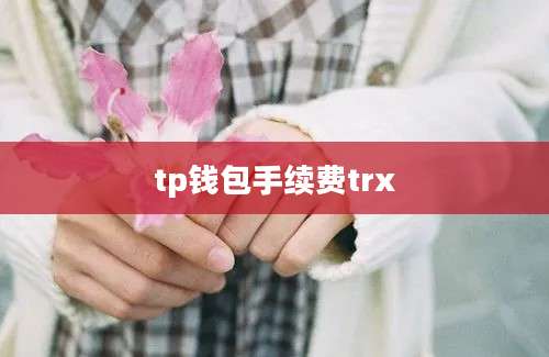 tp钱包手续费trx