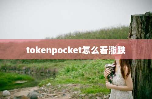 tokenpocket怎么看涨跌
