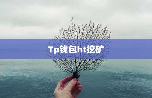 Tp钱包ht挖矿