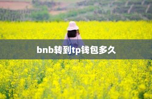 bnb转到tp钱包多久