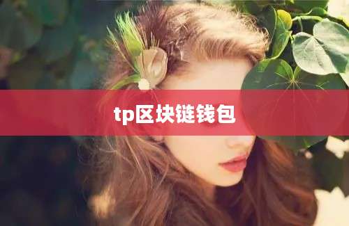 tp区块链钱包