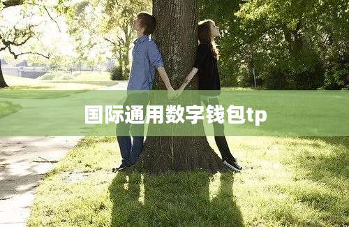国际通用数字钱包tp
