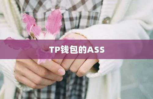 TP钱包的ASS