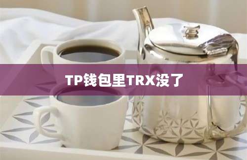 TP钱包里TRX没了