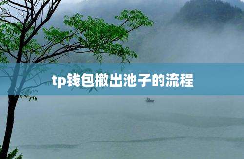 tp钱包撤出池子的流程