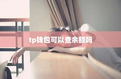 tp钱包可以查余额吗