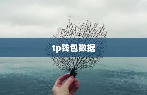 tp钱包数据
