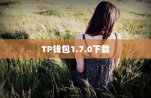 TP钱包1.7.0下载