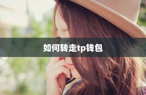 如何转走tp钱包