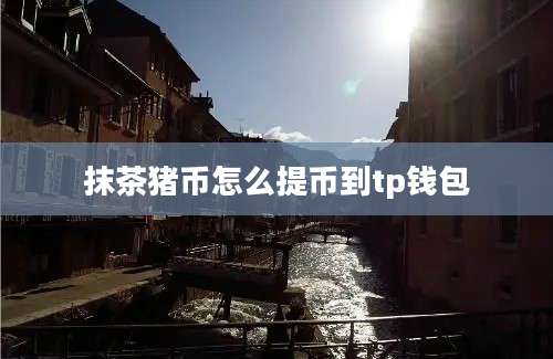 抹茶猪币怎么提币到tp钱包