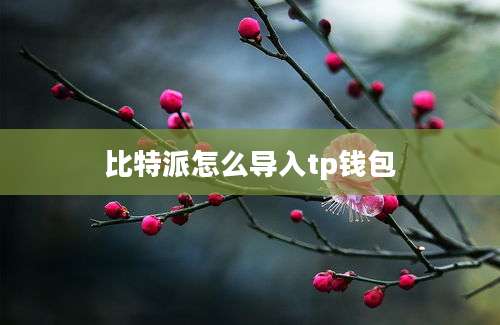 比特派怎么导入tp钱包