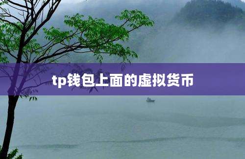 tp钱包上面的虚拟货币