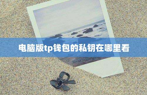 电脑版tp钱包的私钥在哪里看