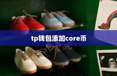 tp钱包添加core币