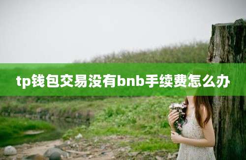 tp钱包交易没有bnb手续费怎么办