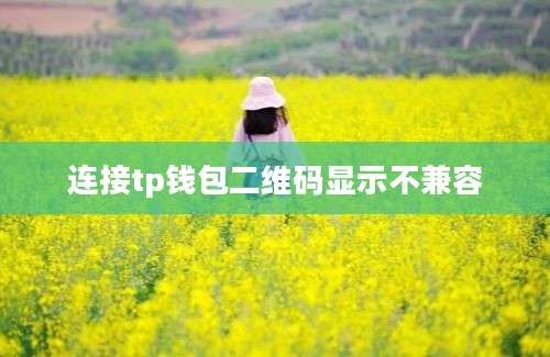 连接tp钱包二维码显示不兼容