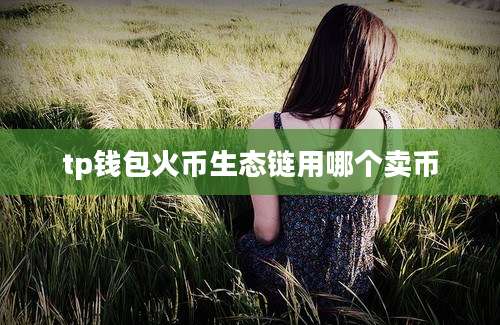 tp钱包火币生态链用哪个卖币
