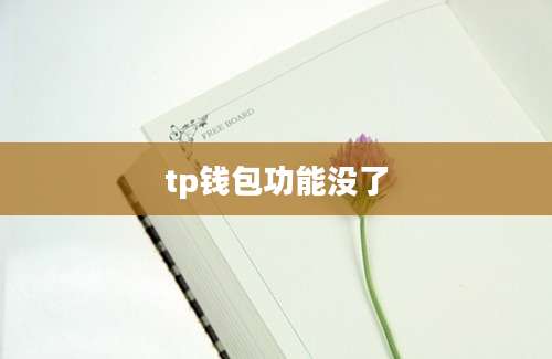 tp钱包功能没了