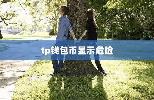 tp钱包币显示危险