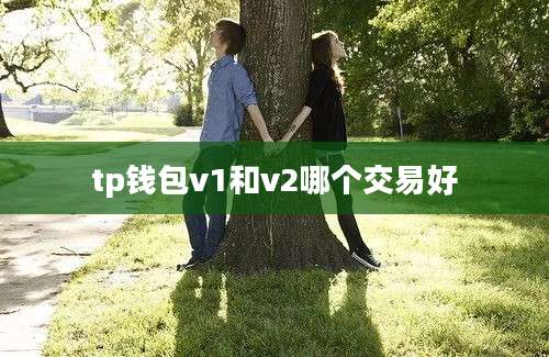tp钱包v1和v2哪个交易好