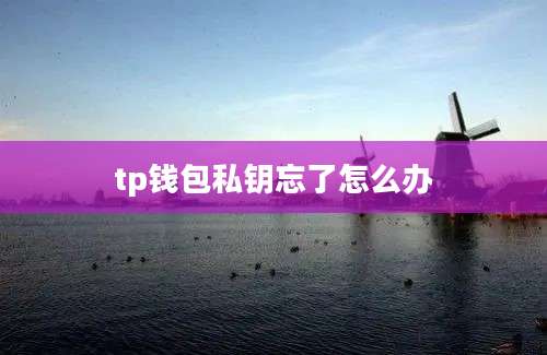 tp钱包私钥忘了怎么办