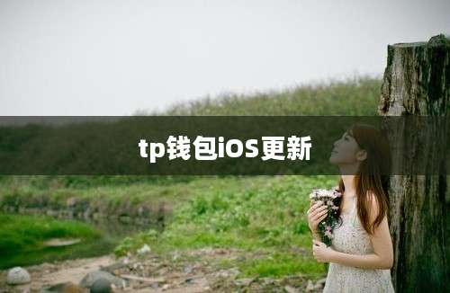 tp钱包iOS更新