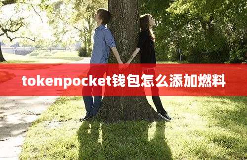 tokenpocket钱包怎么添加燃料
