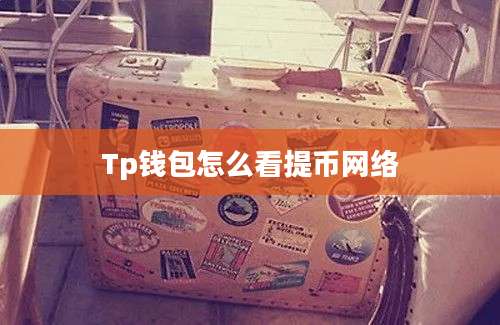Tp钱包怎么看提币网络