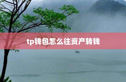 tp钱包怎么往资产转钱
